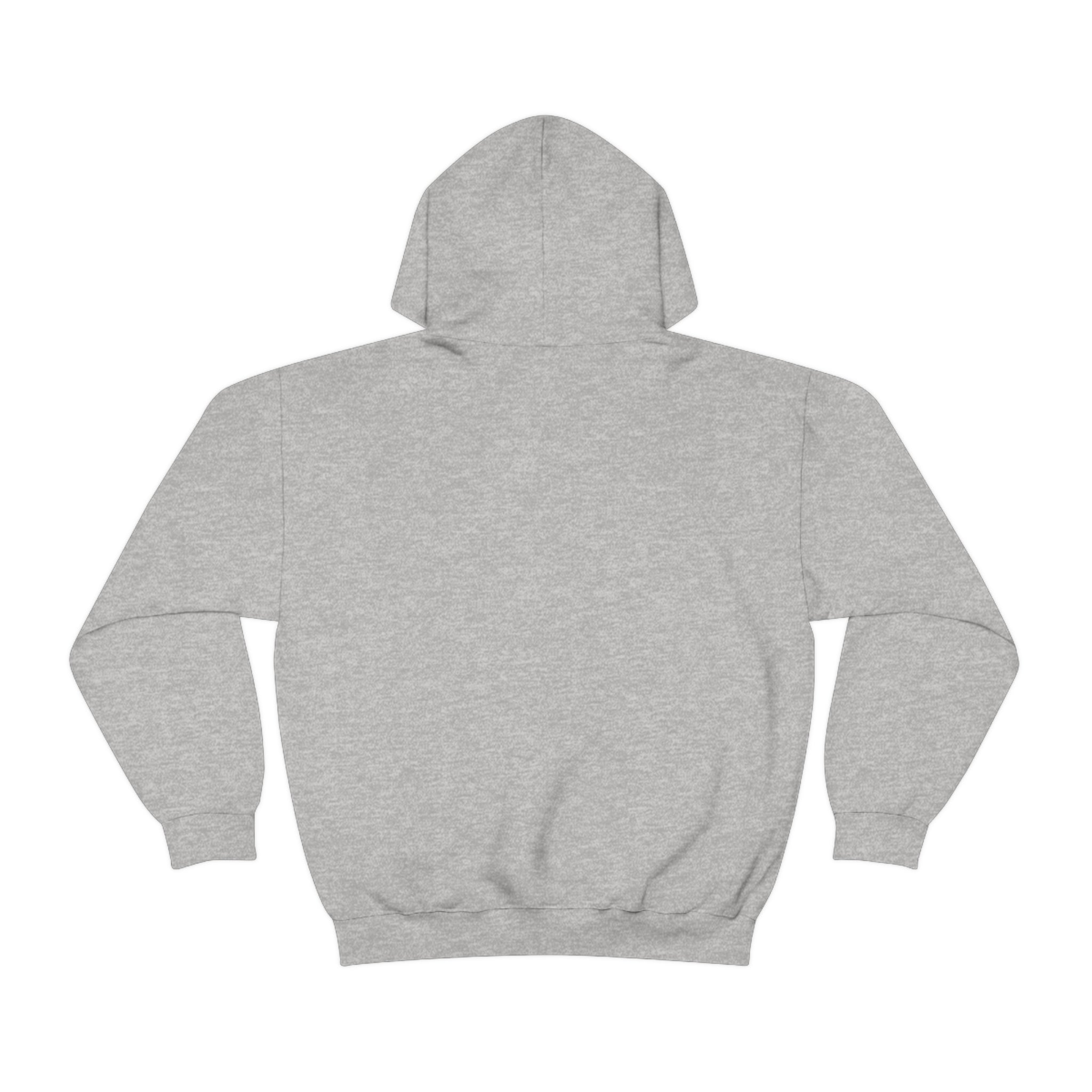 Unisex Heavy Blend™ surf Hooded Sweatshirt